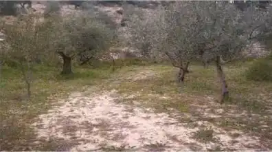 Rural land for sale in Torremanzanas / La Torre de les Maçanes