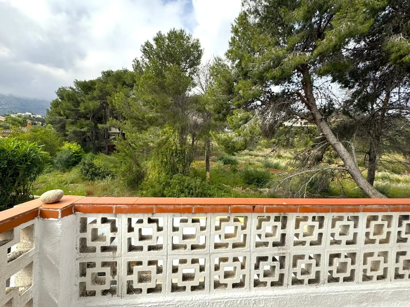 Garden of Houses for sale in Dénia