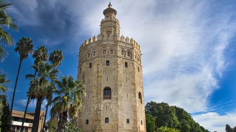 Foto 5 von Fabrikhallen zur Miete in Calle Albert Einstein, Burguillos, Sevilla