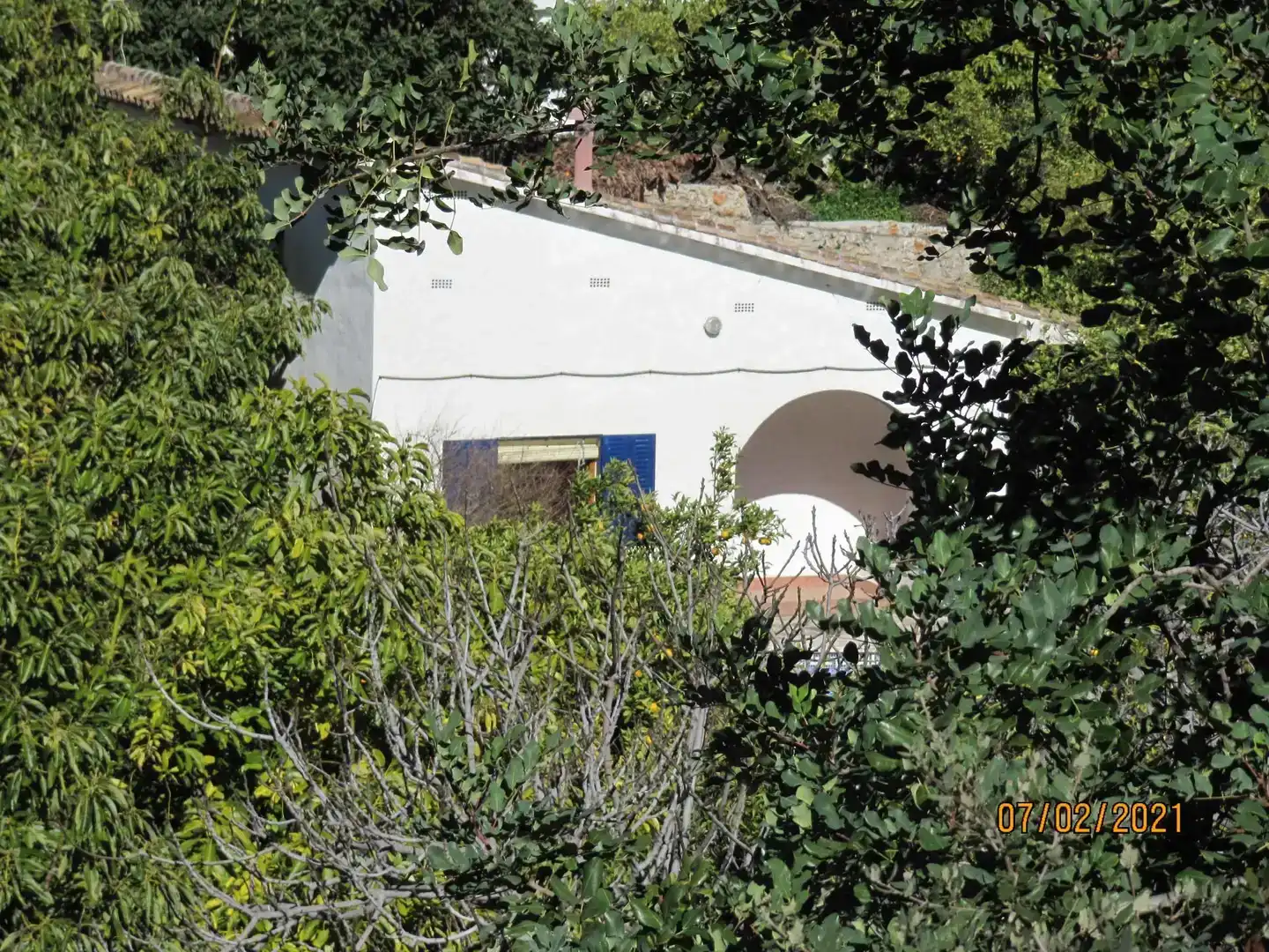 Vista exterior de Casa o chalet en venta en Alozaina con Jardín privado, Piscina y Amueblado