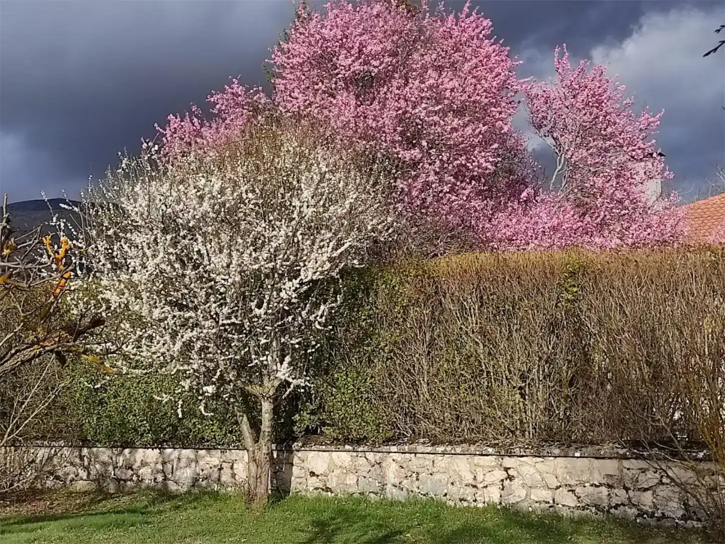 Jardí de Pis en venda en Castrejón de la Peña amb Jardí privat, Moblat i Balcó