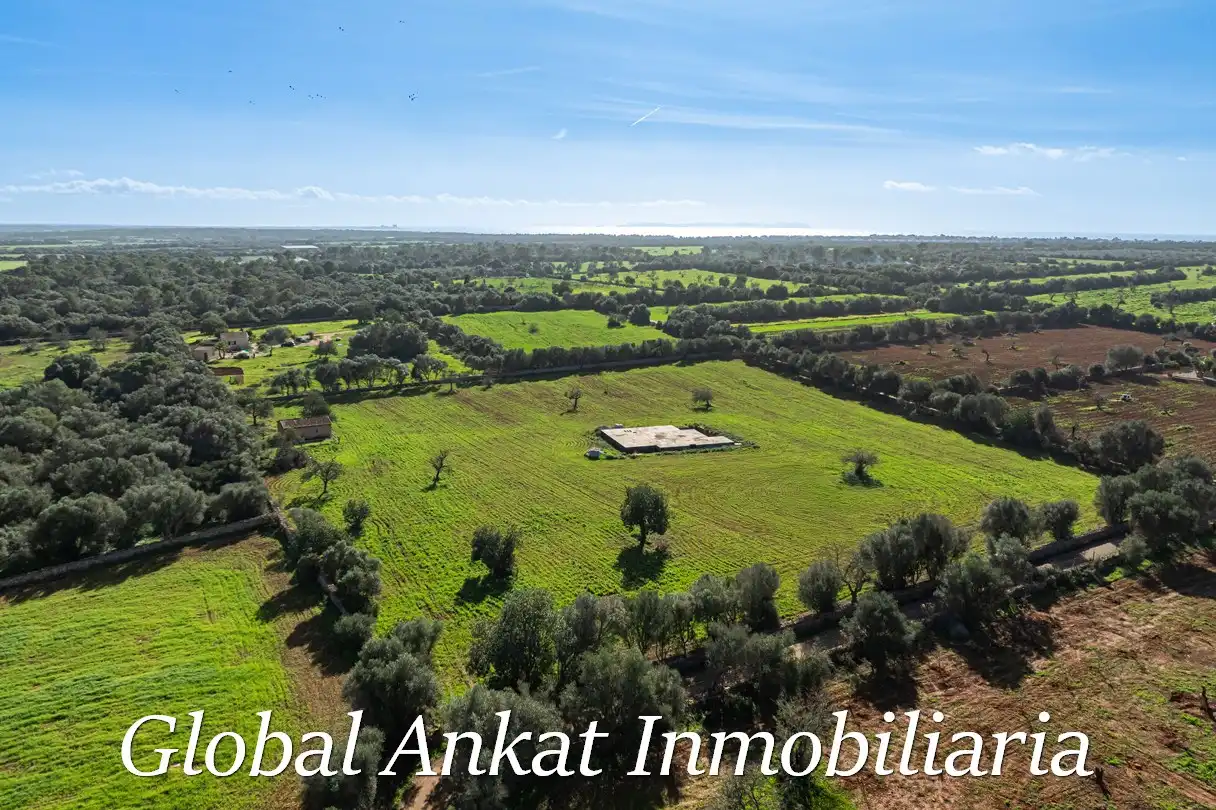 Terrain résidentiel à vendre à Zona Rústica - Interior