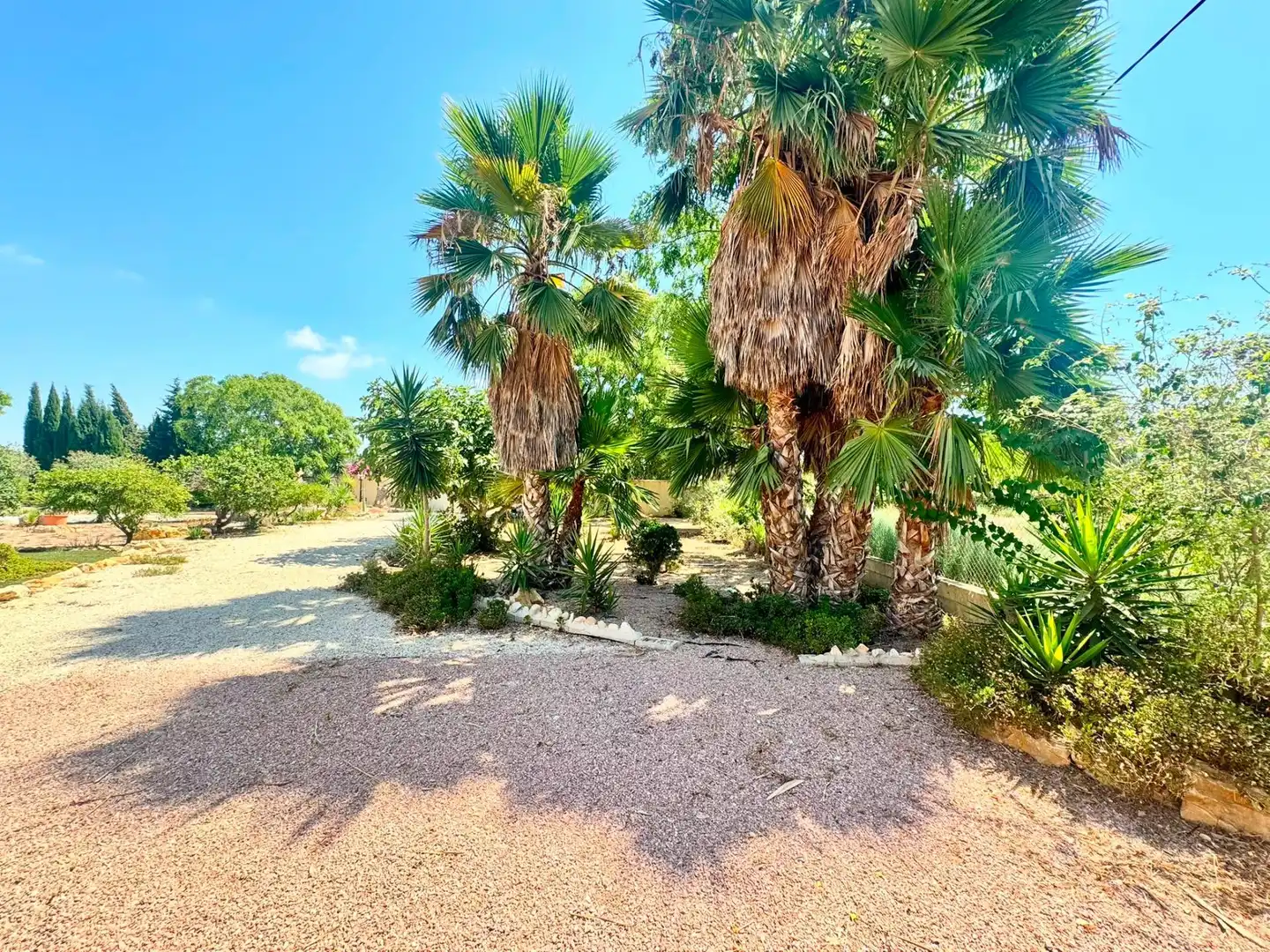 Casa o xalet en venda en Elche / Elx amb Aire condicionat, Jardí privat i Terrassa