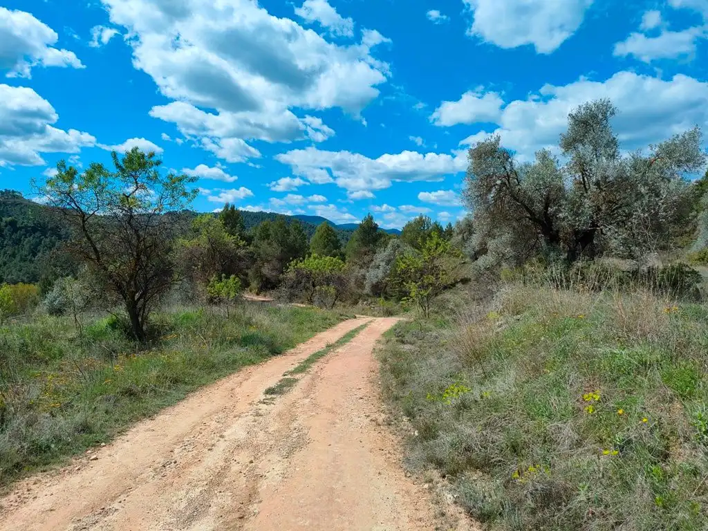 Casa rústica amb terrassa en venda a La Portellada, imagen 22