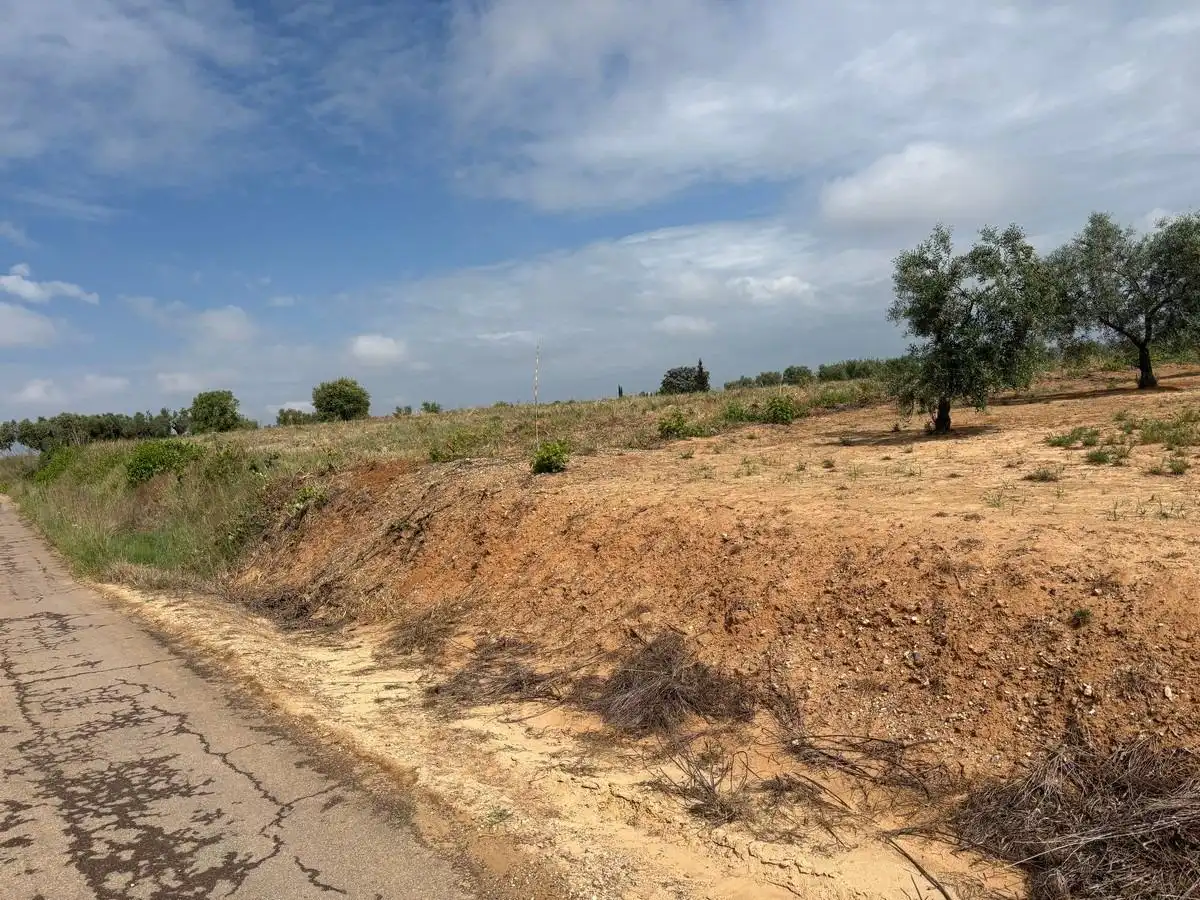 Terreno rustico in vendita a Almonte ciudad, imagen 11
