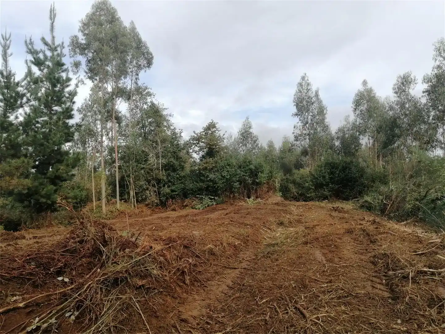 Terreno en venta en Cerdido