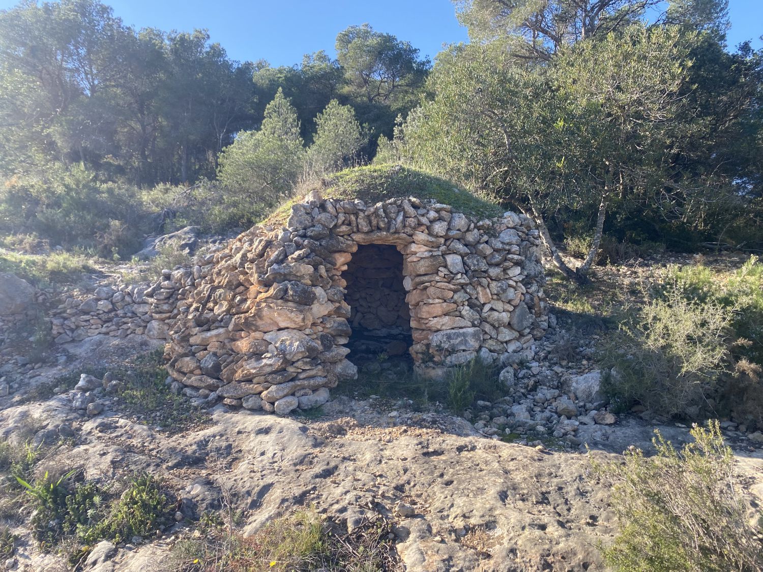 Vista exterior de Finca rústica en venta en Albinyana
