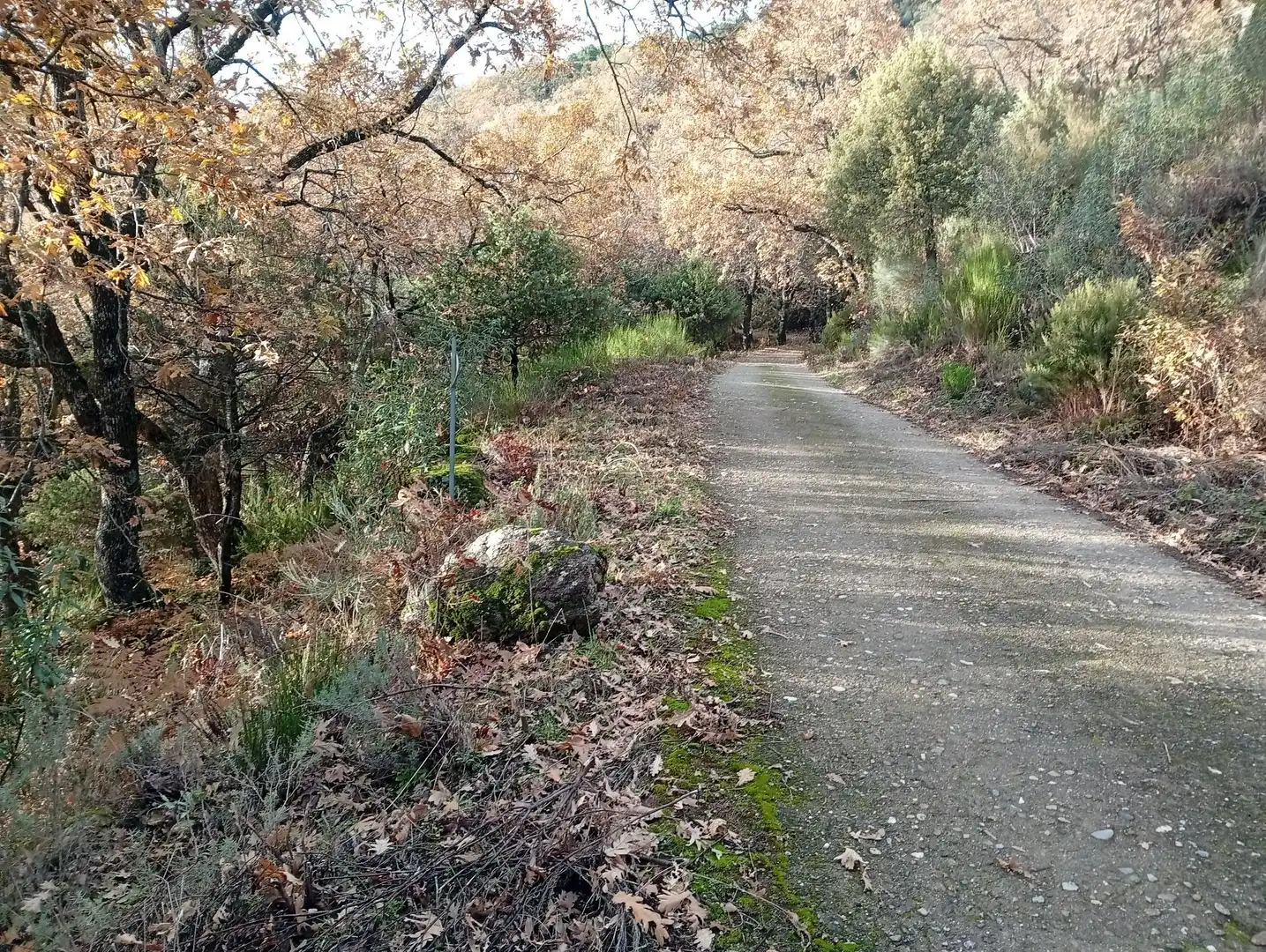 Terreni e lotti in vendita a Villanueva de la Vera, imagen 28