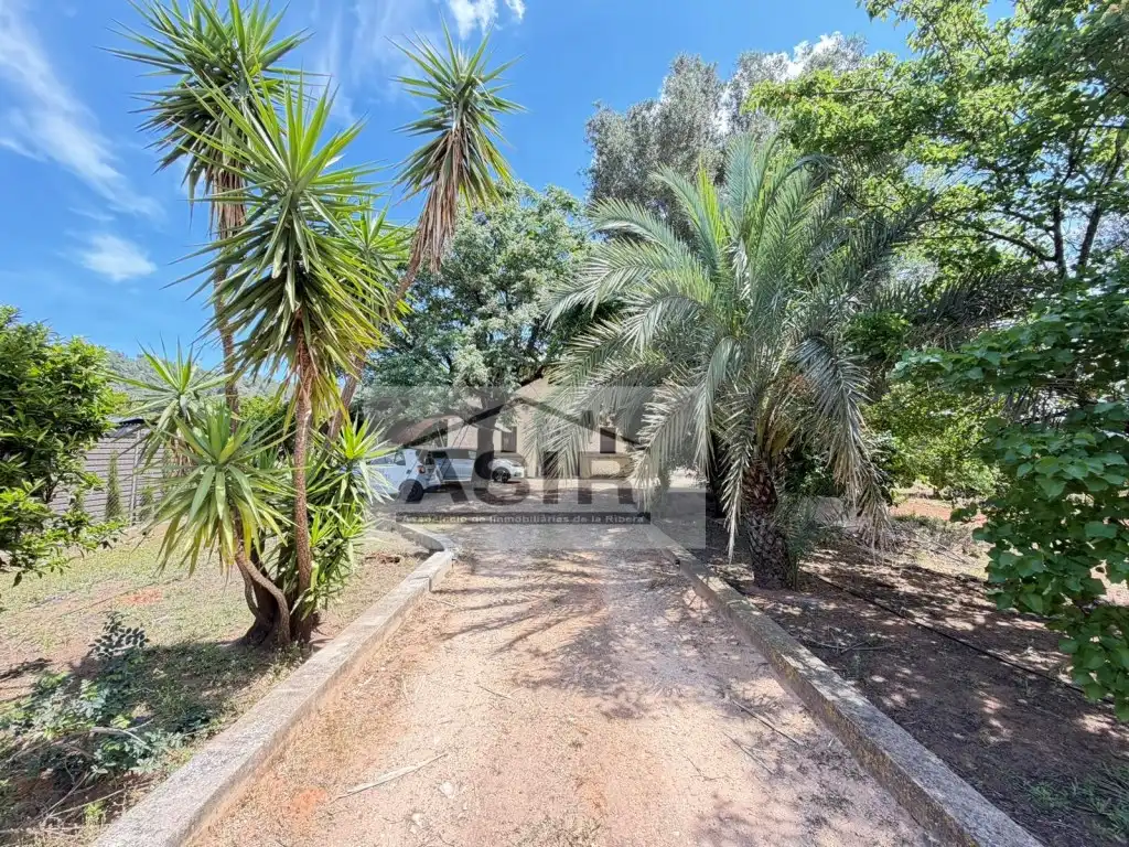 Casa o chalet en venta en Alzira con Terraza y Piscina