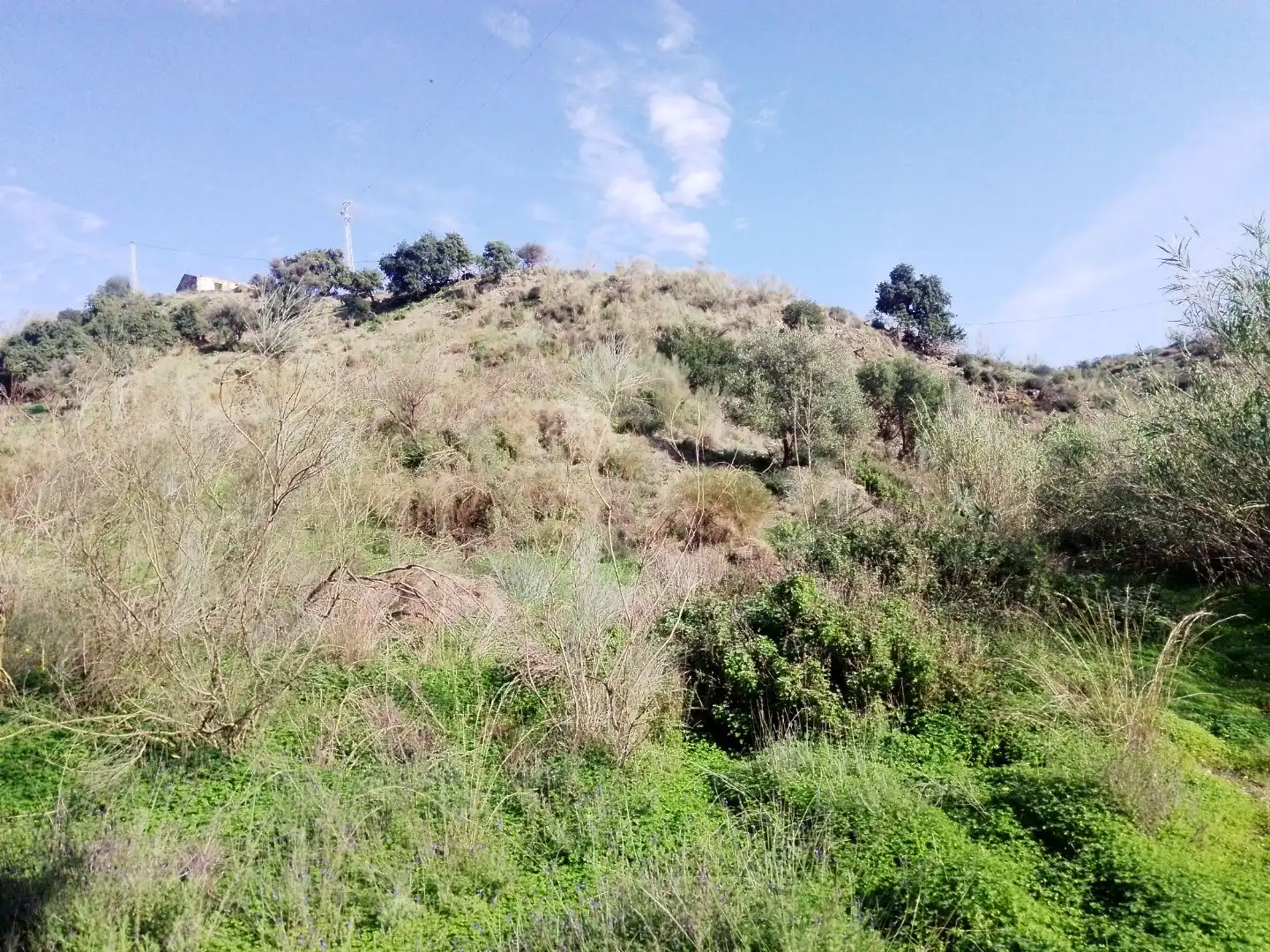 Grundstücke zum Verkauf in Rincón de la Victoria