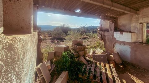FINCA RUSTICA CON CASETA EN VENTA EN FREGINALS TARRAGONA, immagine 3