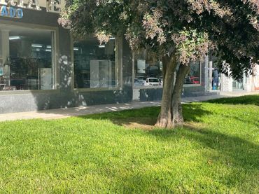 Business premises for sale in Alcalde José Aranda 57