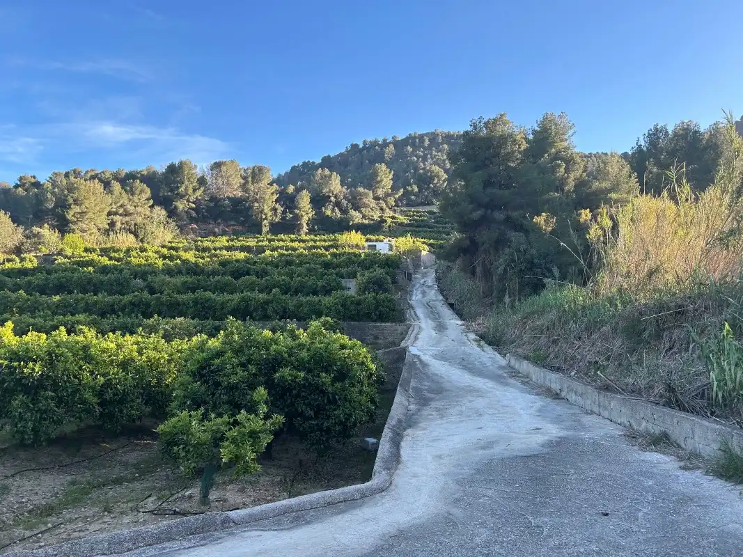 Vista exterior de Finca rústica en venda en Oliva amb Moblat