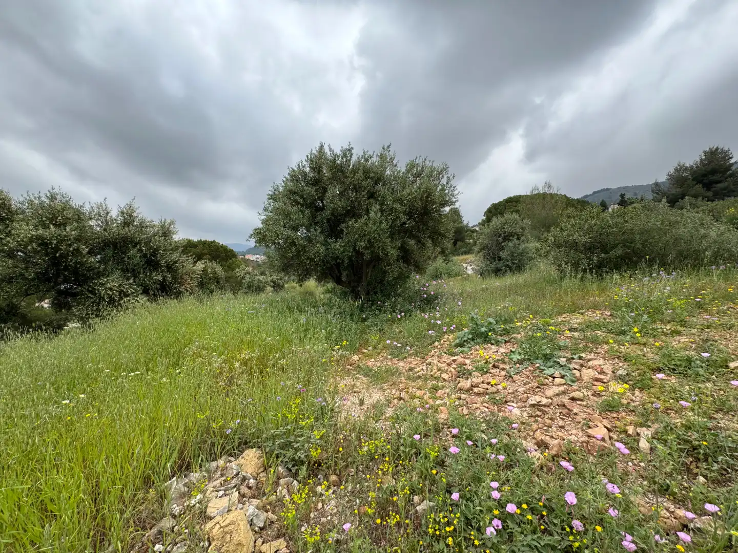 Terreni e lotti in vendita a Pinos de Alhaurín - Periferia, imagen 5