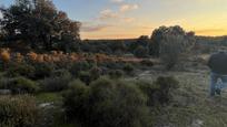 Finca rústica en venda en Brunete