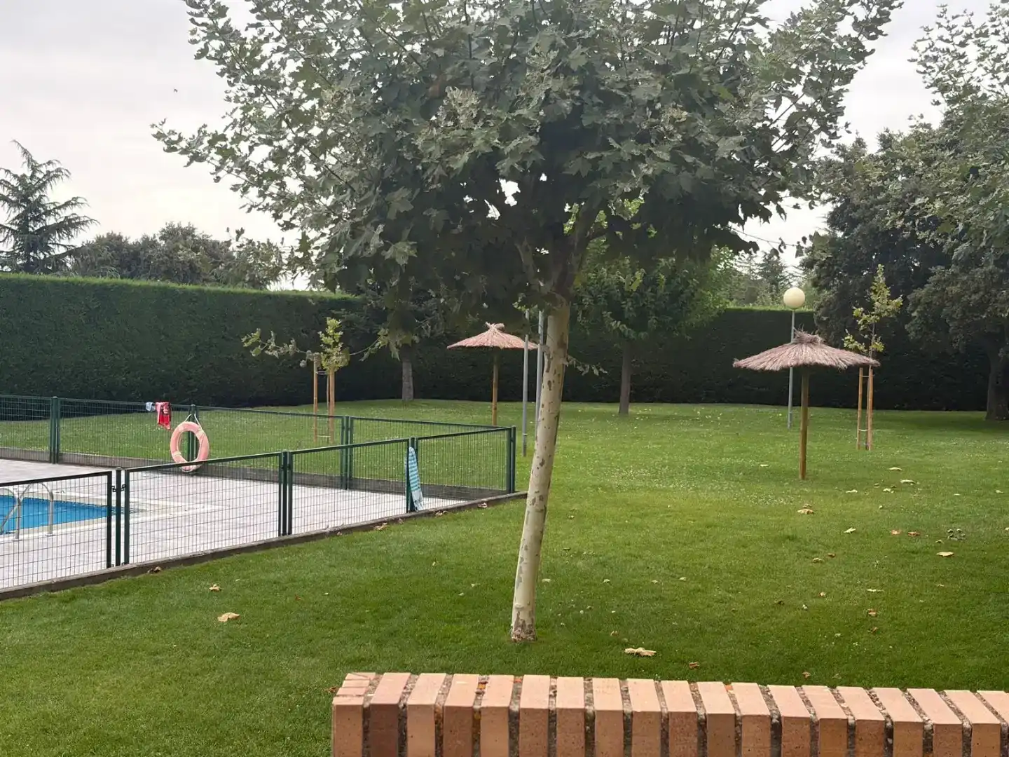 Jardí de Pis en venda en Ávila Capital amb Piscina