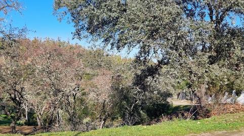 Photo 4 of Residential for sale in Calle el Ronquillo, 1, Los Lagos, Guillena