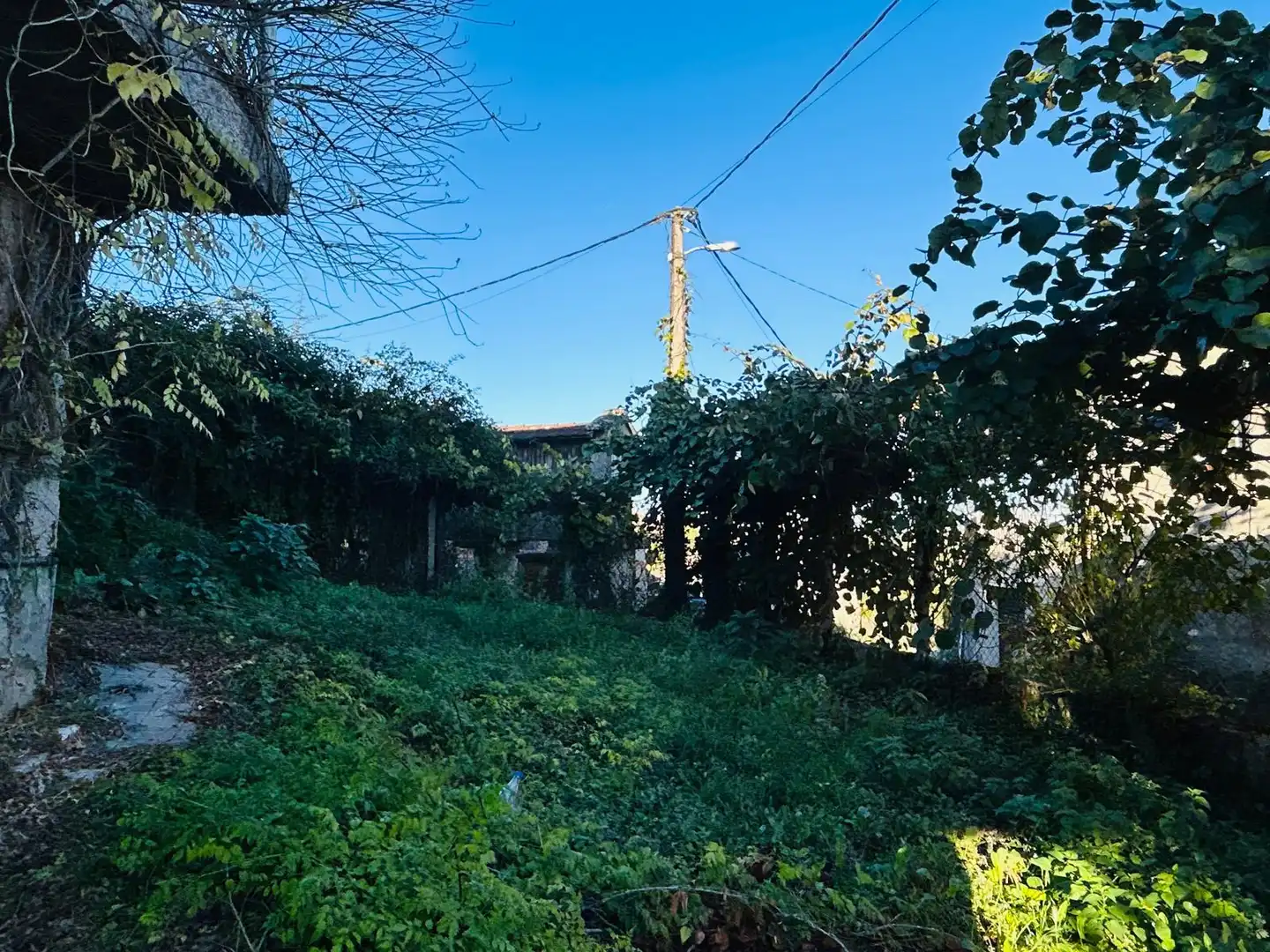 Houses for sale in Maside  with Heating, Private garden and Terrace