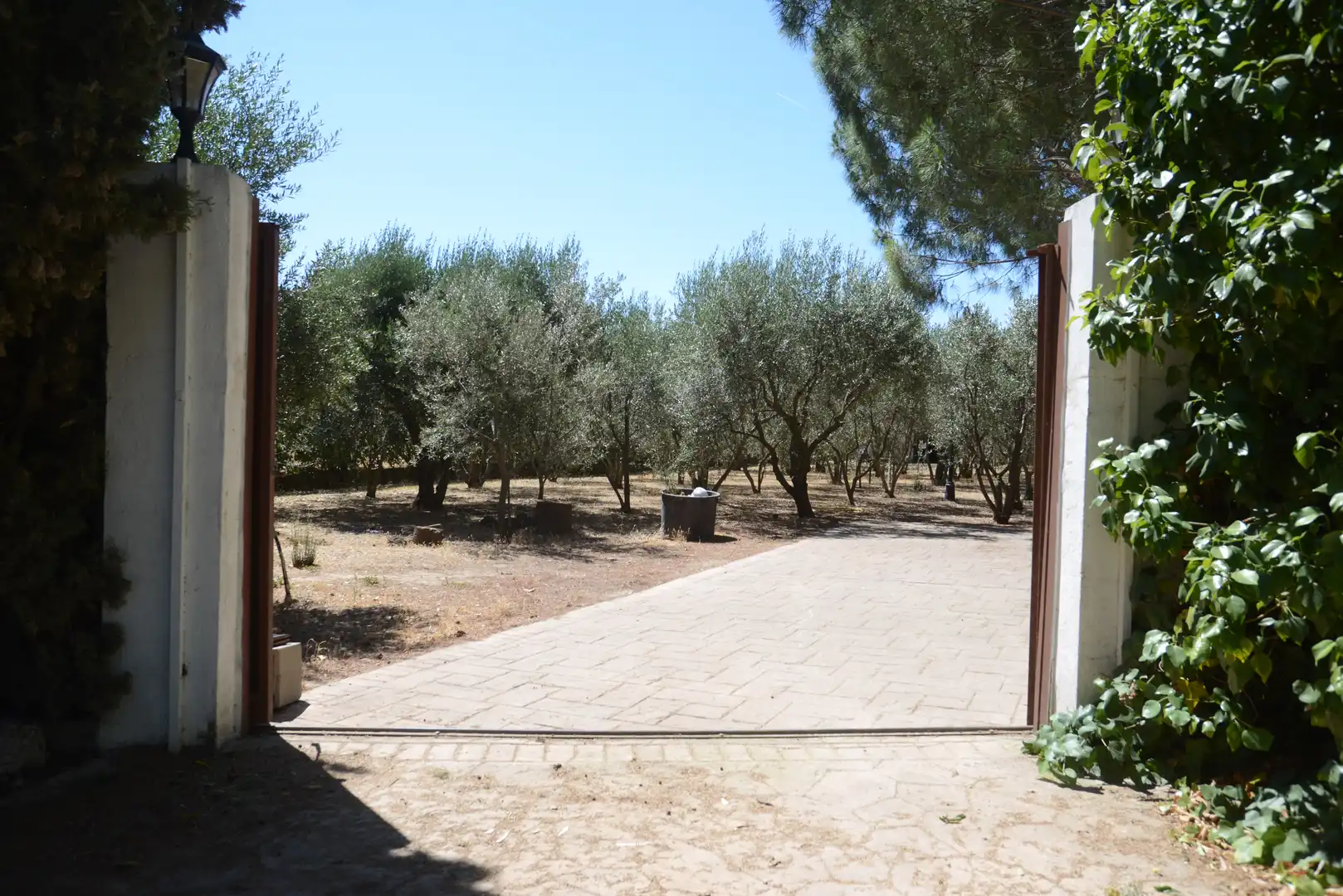 Country house with pool for sale in Fuente El Saz de Jarama, imagen 4