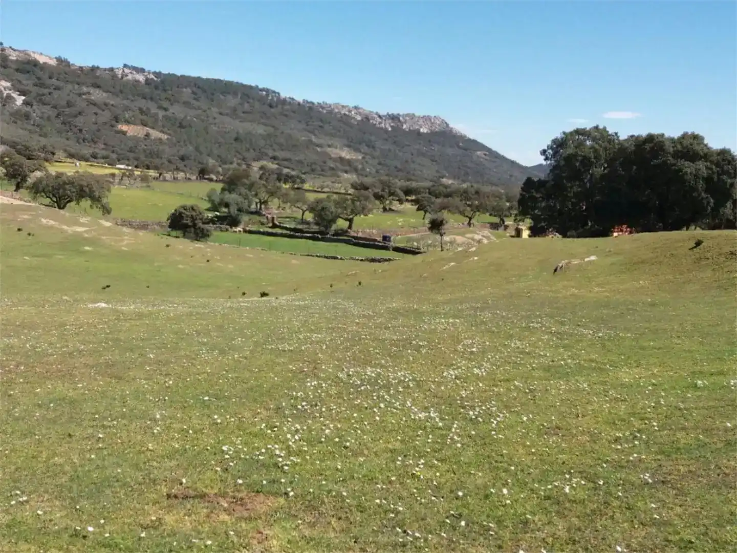 Terreno en venta en Serradilla
