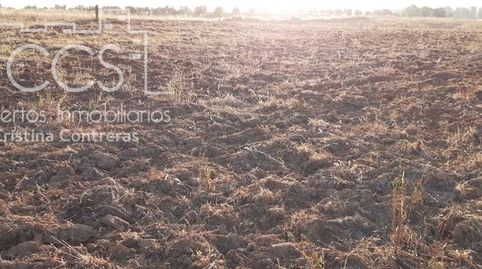 Foto 2 de Terreny en venda a Almonte ciudad, Almonte