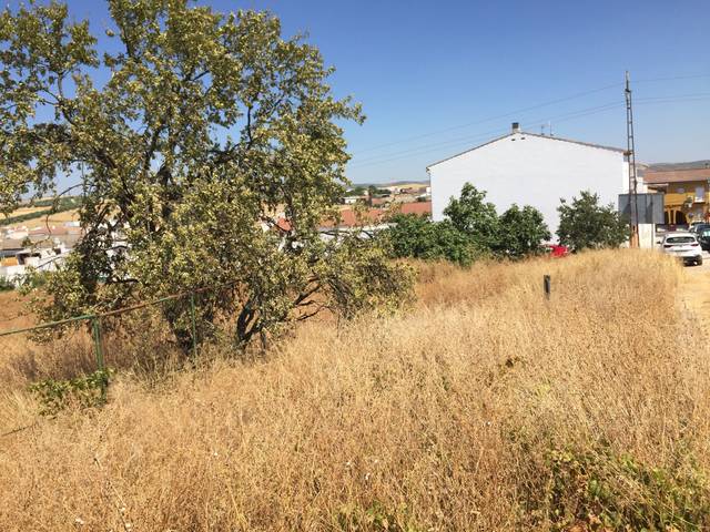 Terreno residencial en Venta en Calle Almenara en Pedro Abad