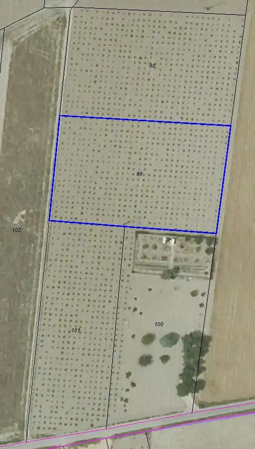 Terrenos y solares en venta en Socuéllamos, imagen 3