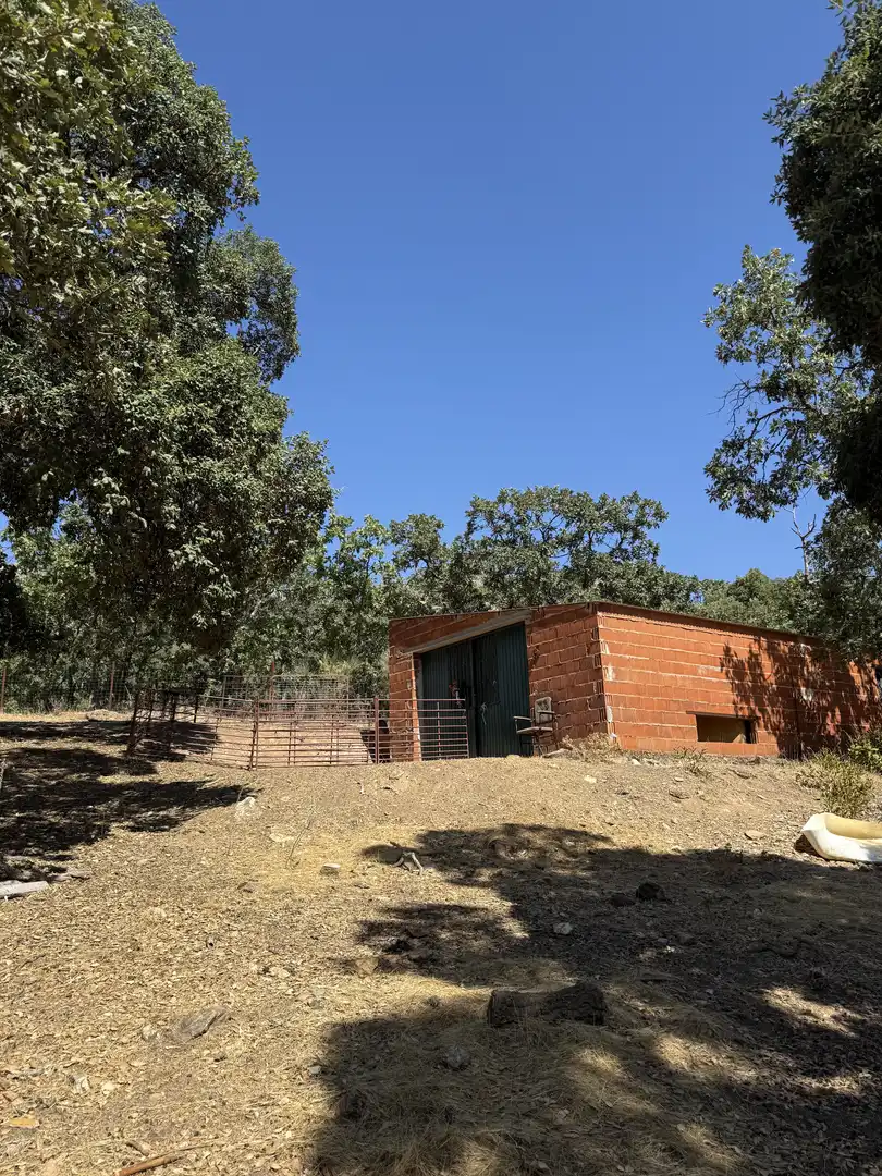 Vista exterior de Terreno en venta en Berzocana