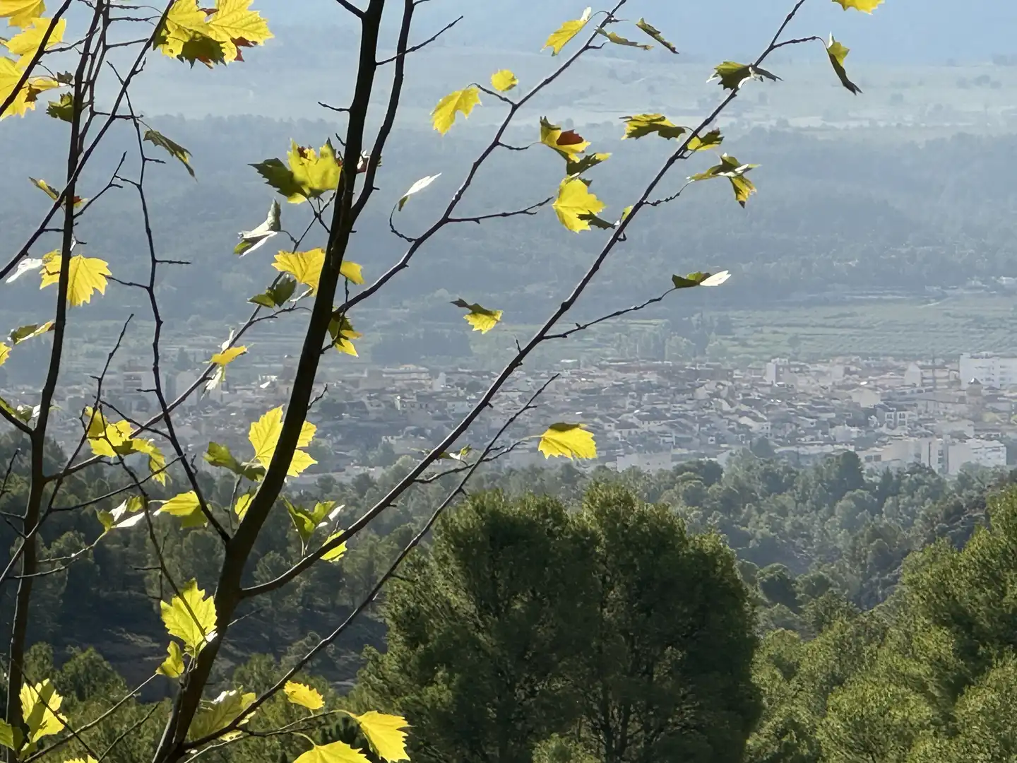 Terreny rústic en venda a Caravaca de la Cruz, imagen 18