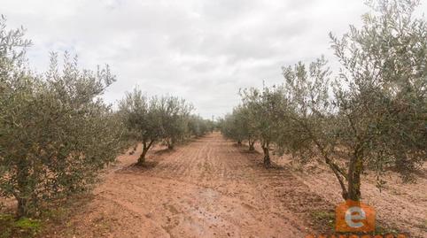 Photo 4 of Residential for sale in Ciudad Jardín, Badajoz