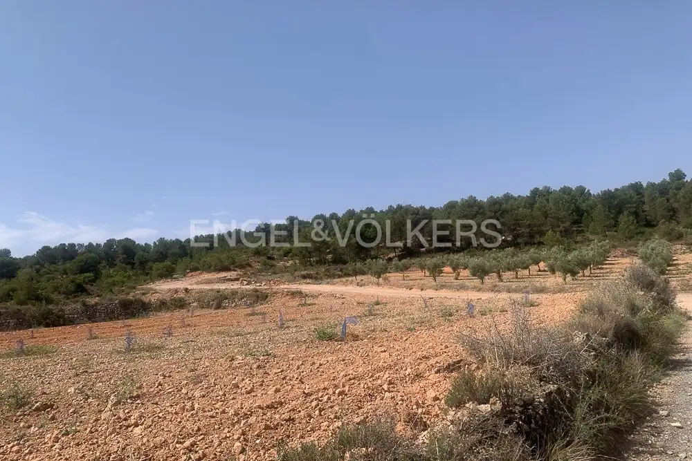 Lands and plots for sale in Requena, imagen 10