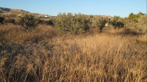 Foto 3 de Edificio en venta en La Romana, Alicante