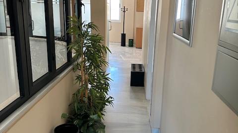 Foto 2 de Oficina de alquiler en Calle Larga, 14, Centro, Jerez de la Frontera