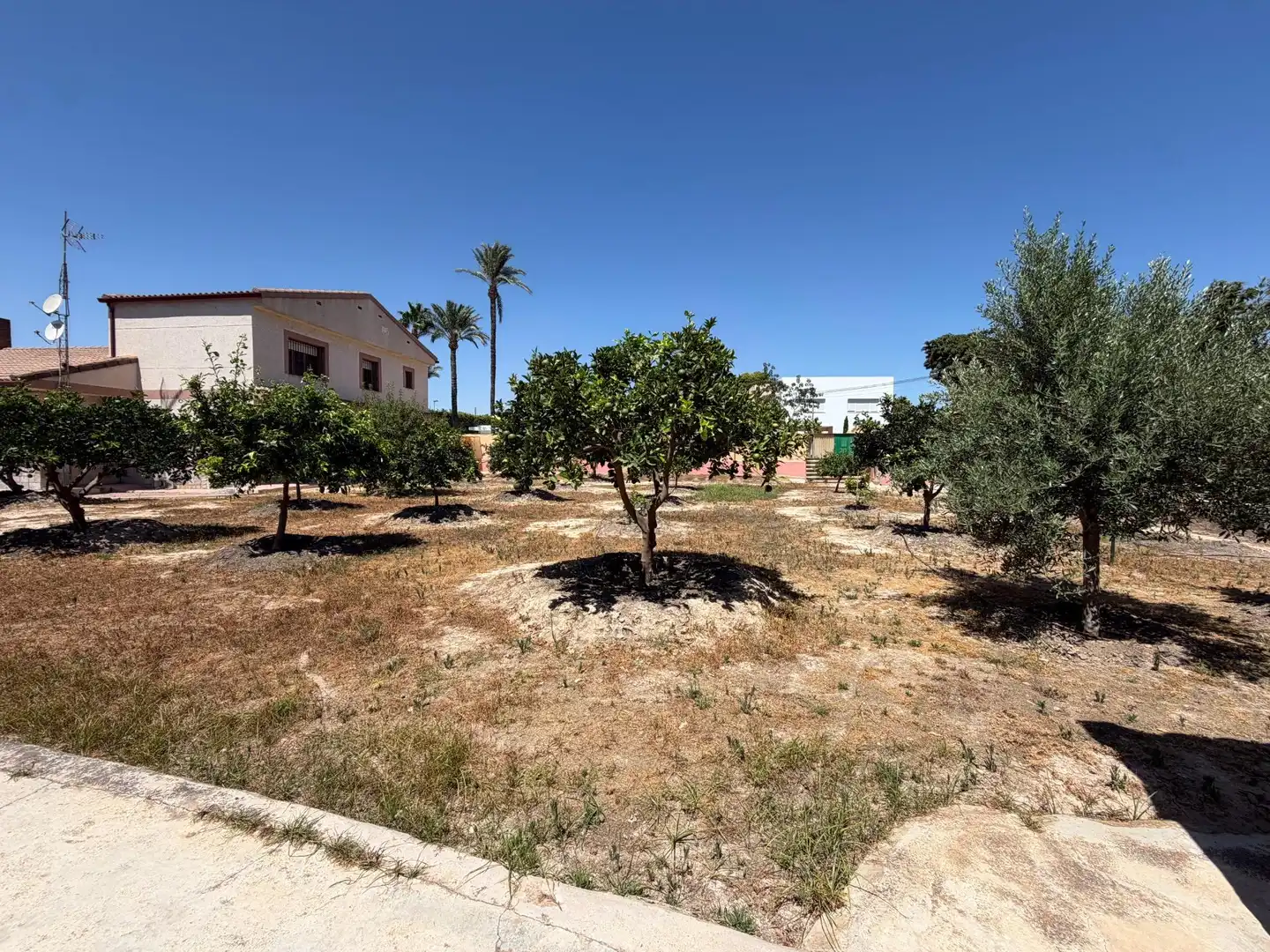 Casa o xalet en venda en Alicante / Alacant