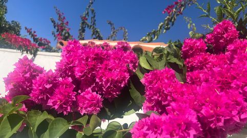 Photo 3 of Detached homes for sale in San García, Algeciras