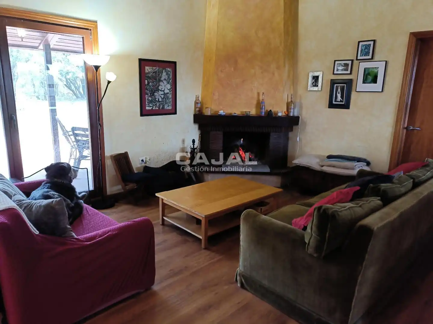 Sala de estar de Casa o chalet en venta en Castillejo de Mesleón con Calefacción