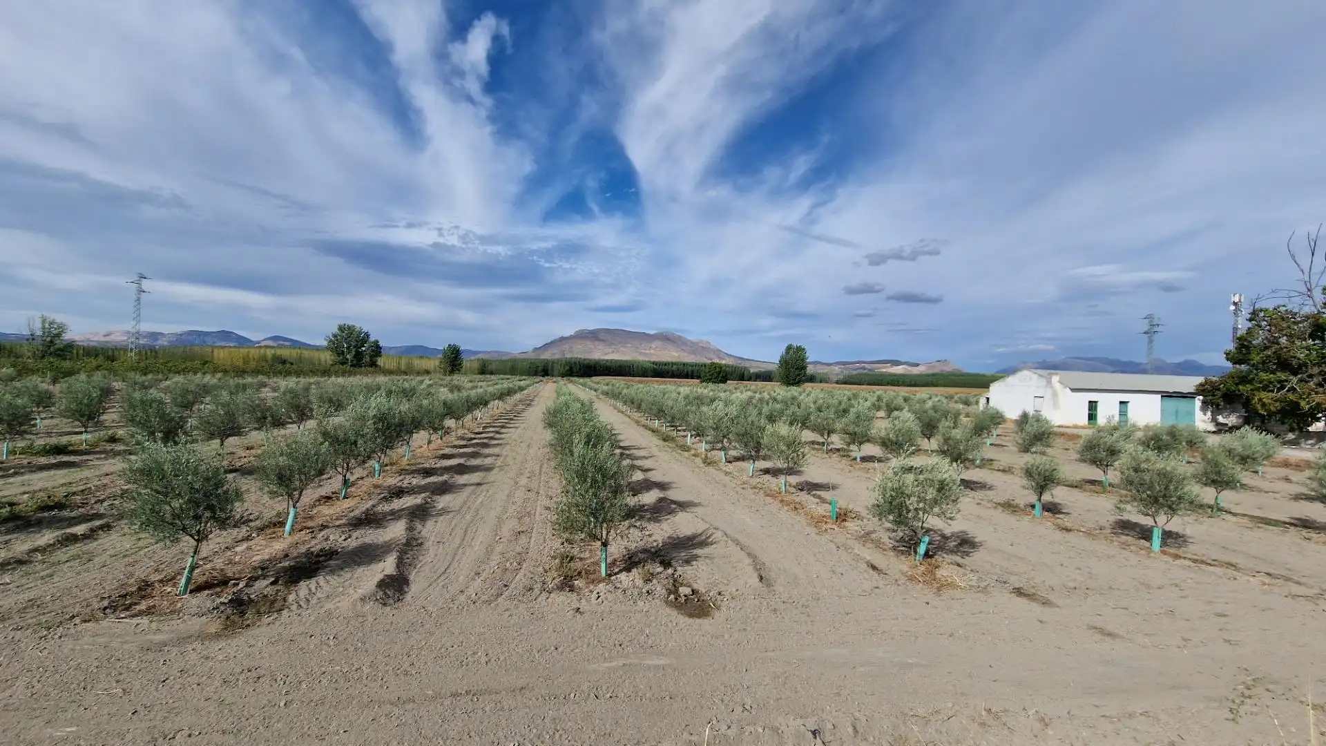 Vista exterior de Terreno en venta en Santa Fe