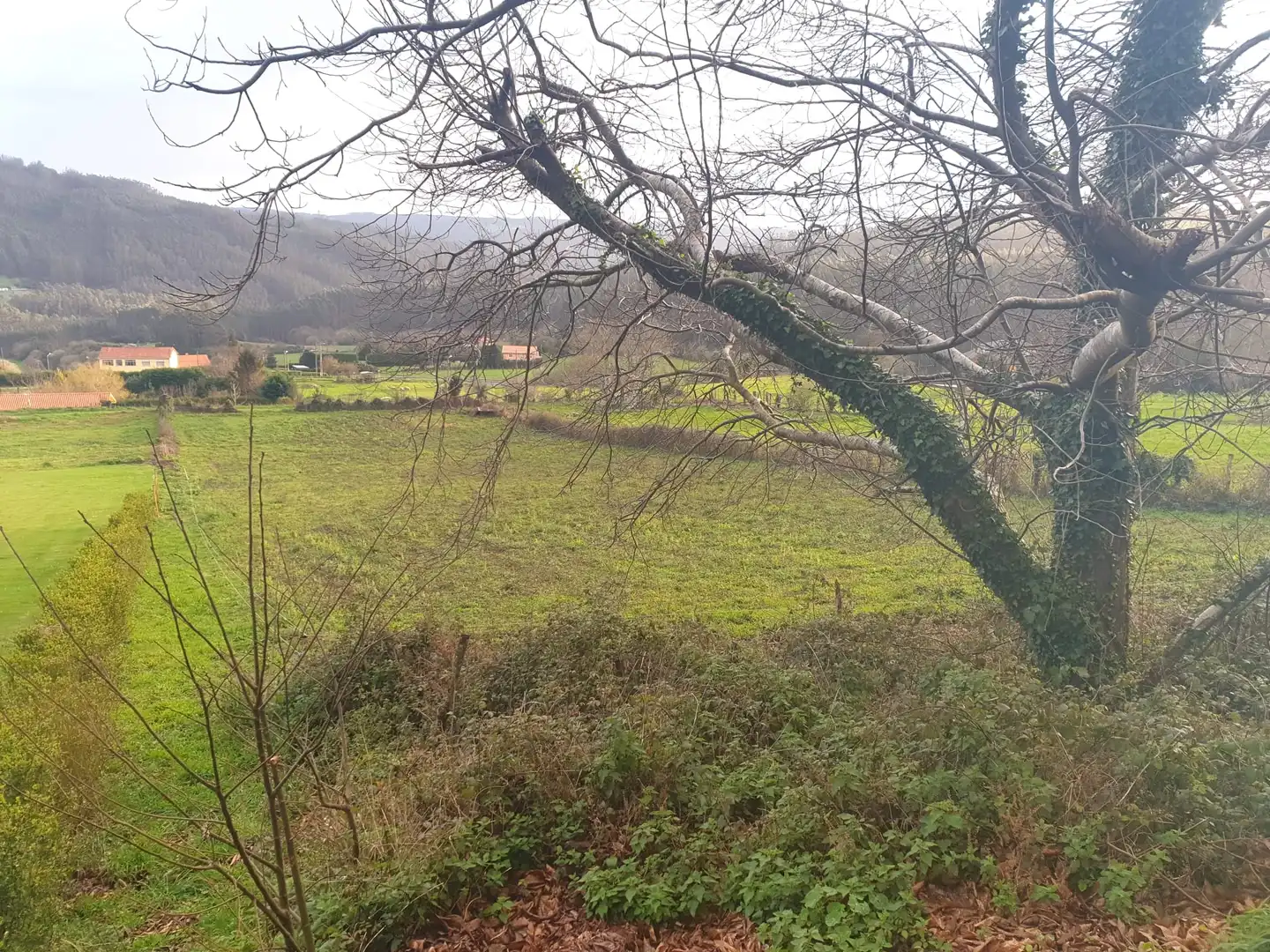 Grundstücke und Bauplätze zum Verkauf in Cedeira, imagen 2