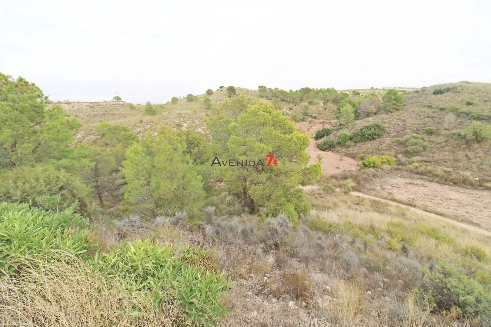 Terrains et parcelles à vendre à Pedanías Norte, imagen 6