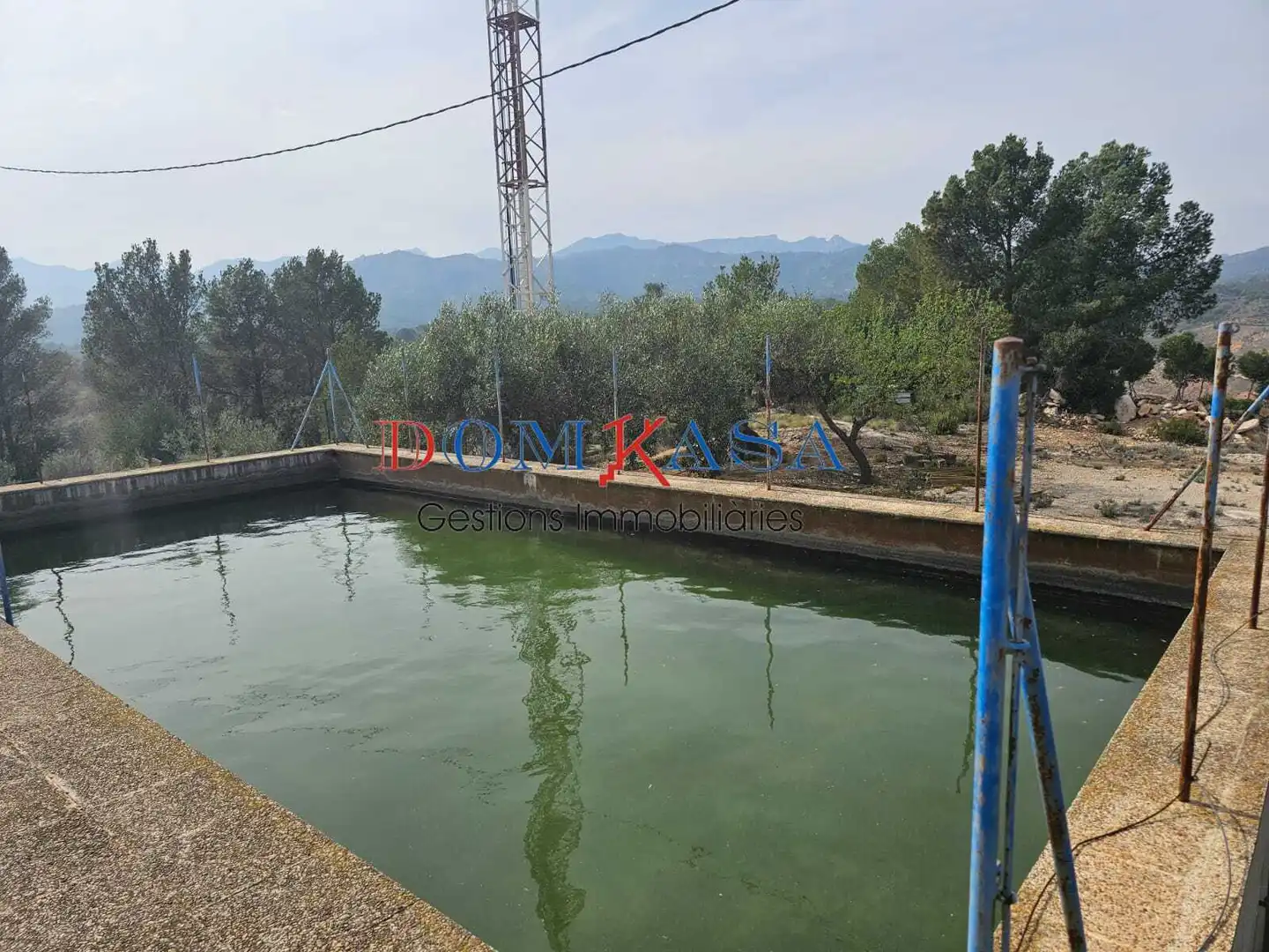 Swimming pool of Industrial buildings for sale in Xerta