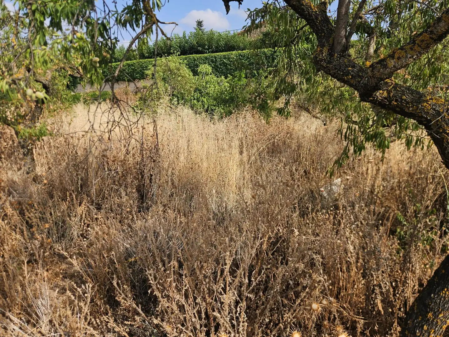 Finca rústica en venda en Os de Balaguer amb Traster i Balcó