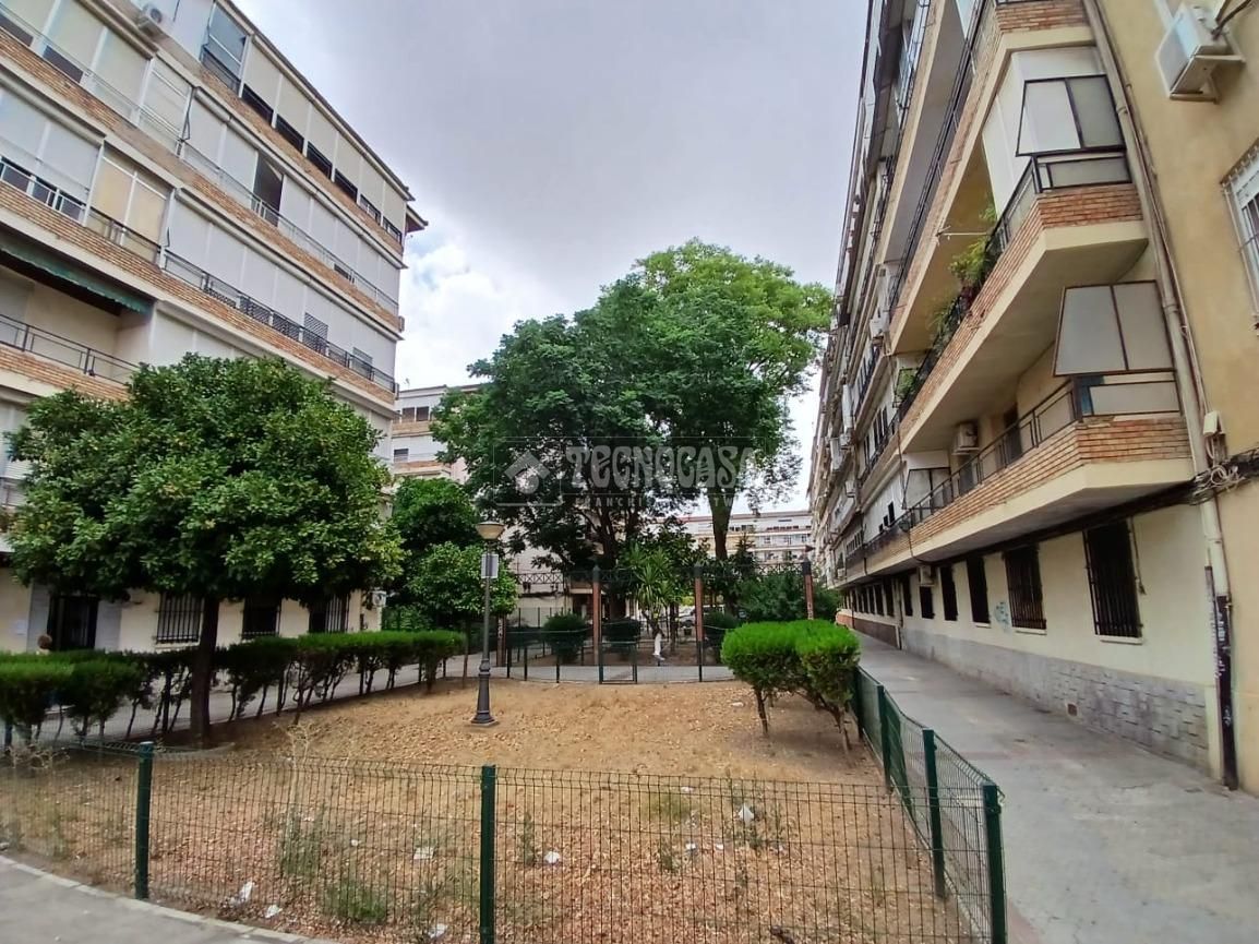 Flat to rent in Parque Alcosa