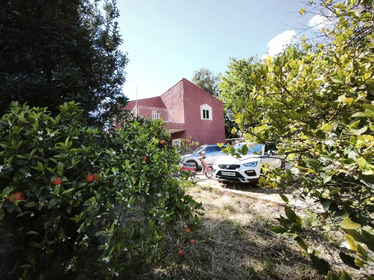 Exterior view of Houses for sale in Molina de Segura