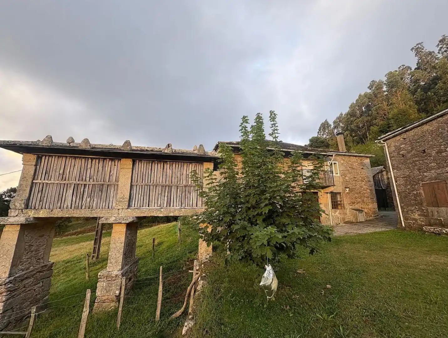 Vista exterior de Finca rústica en venda en Viveiro amb Jardí privat