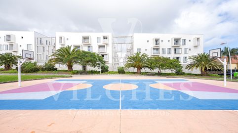 Foto 3 de Piso de alquiler en Calle Cocotero, Siete Palmas, Las Palmas de Gran Canaria