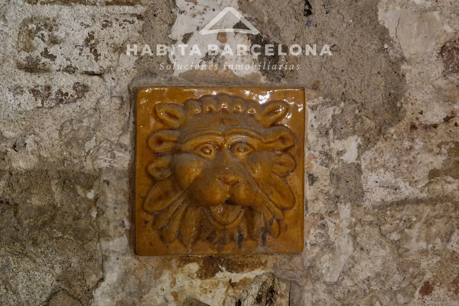 Gewerbefläche zur Miete in Carrer de Montcada, imagen 9