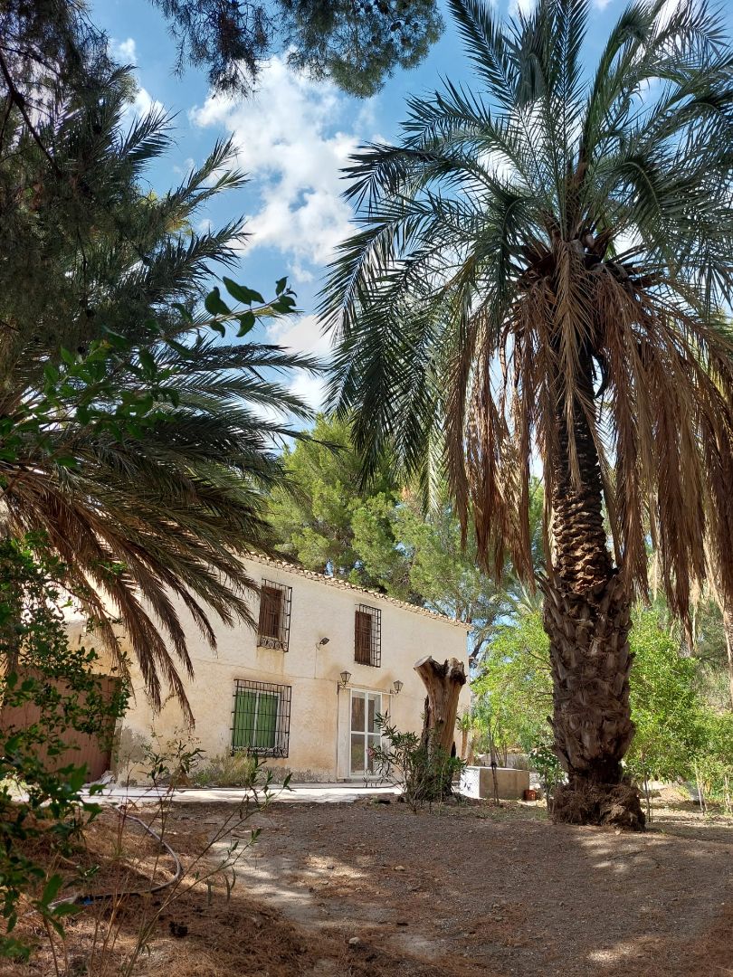 Vista exterior de Finca rústica en venta en Partaloa