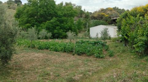 Foto 2 de Finca rústica en venda a Partidas Sur, Ronda