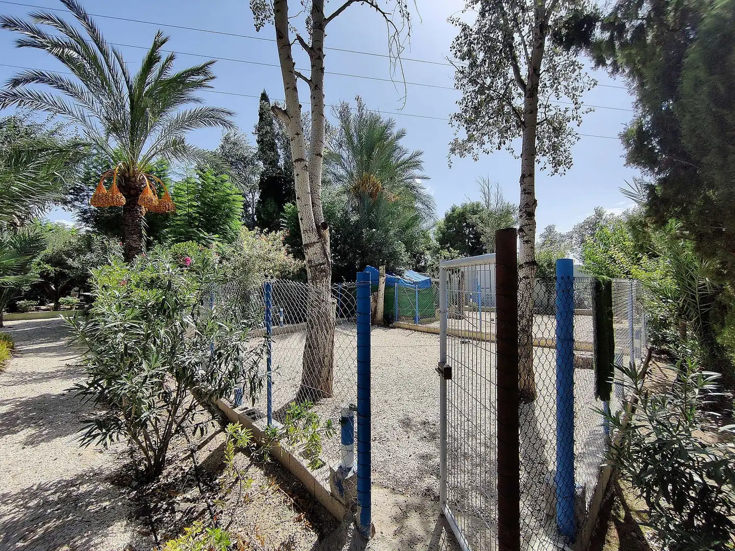 Maison rustique à vendre à Crevillent, imagen 22