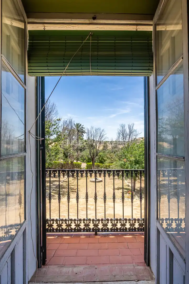 Jardí de Casa o xalet en venda en Osuna amb Calefacció, Jardí privat i Terrassa